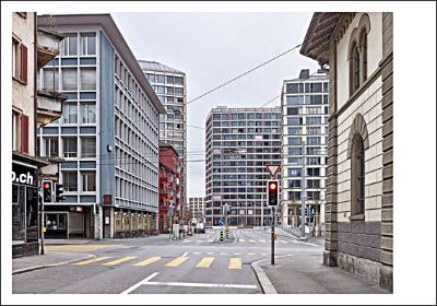 Europaallee Zürich - Gemisch, Gefüge, 76 Ginkgos